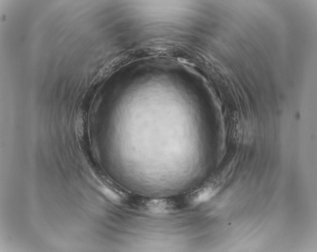 X0000088890562200706291442