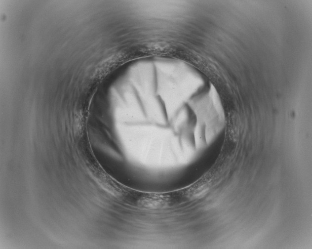 X0000088890563200706291442