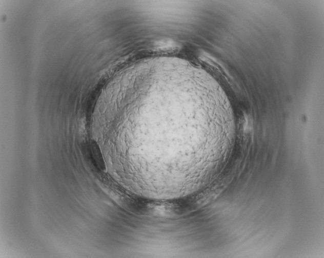 X0000088890564200706291442