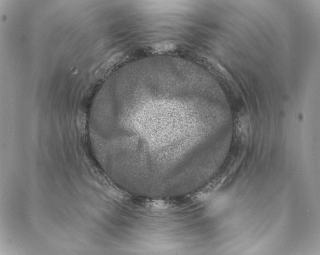 X0000088890565200706291442