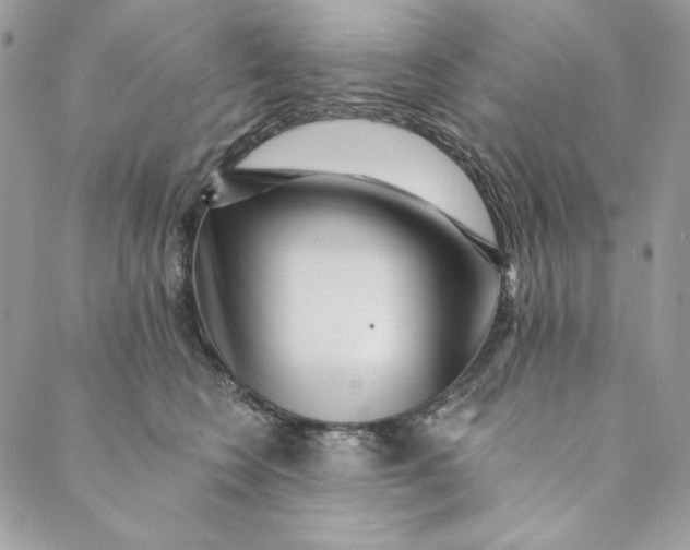 X0000088890566200706291442