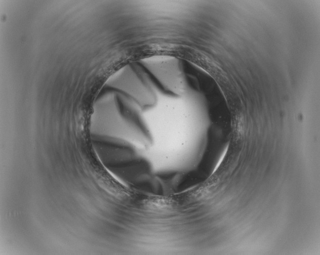 X0000088890567200706291443