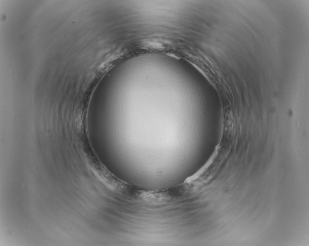 X0000088890568200706291443