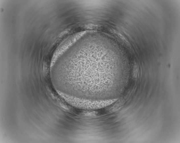 X0000088890569200706291443