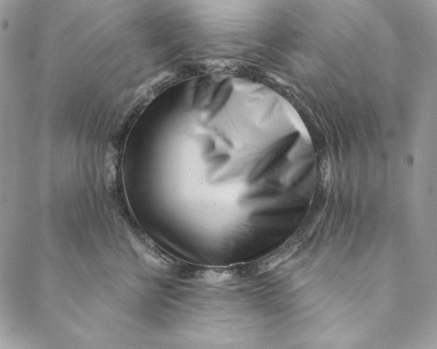 X0000088890570200706291443