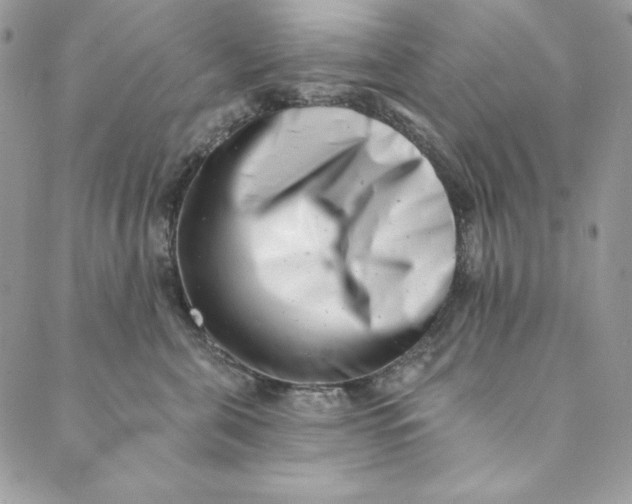 X0000088890571200706291443