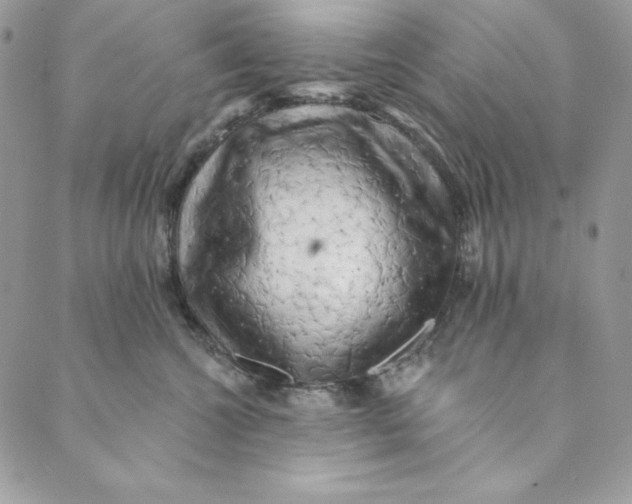 X0000088890572200706291443