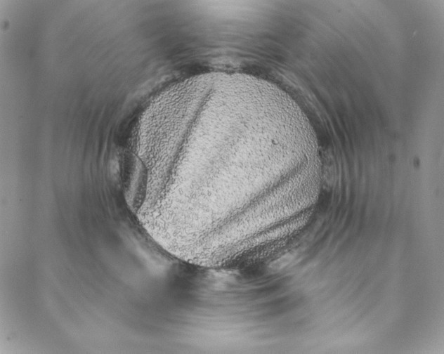 X0000088890573200706291443