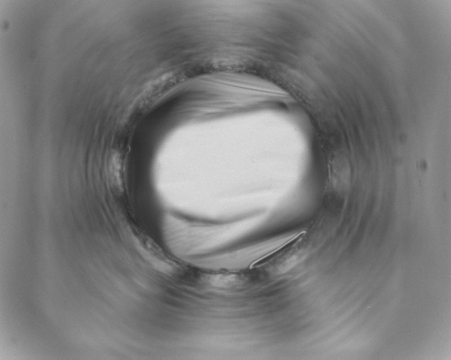 X0000088890575200706291443