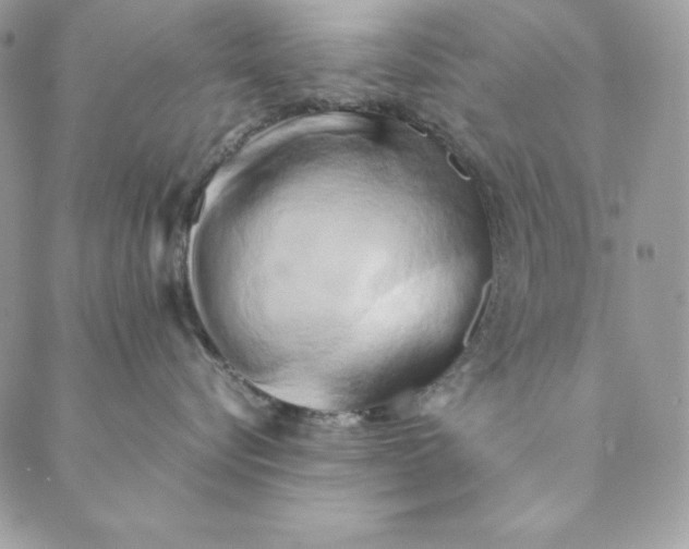 X0000088890576200706291443