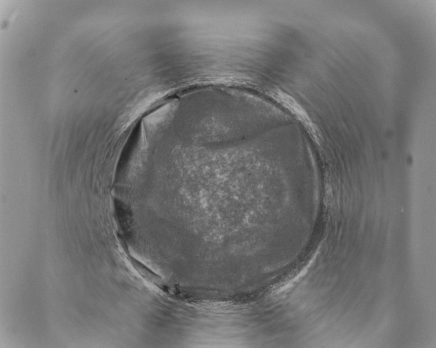 X0000088890577200706291442