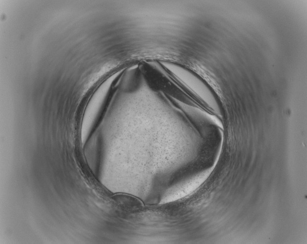 X0000088890578200706291442