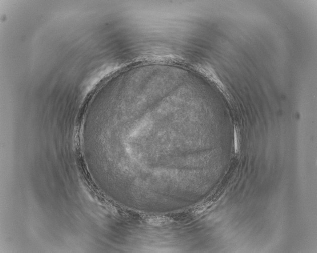 X0000088890579200706291442