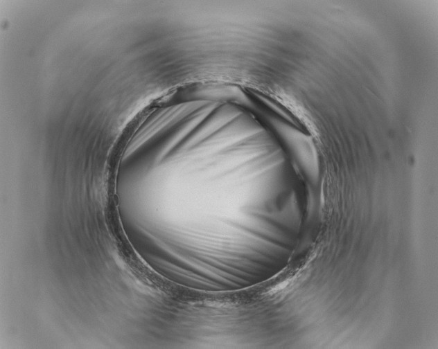 X0000088890580200706291442