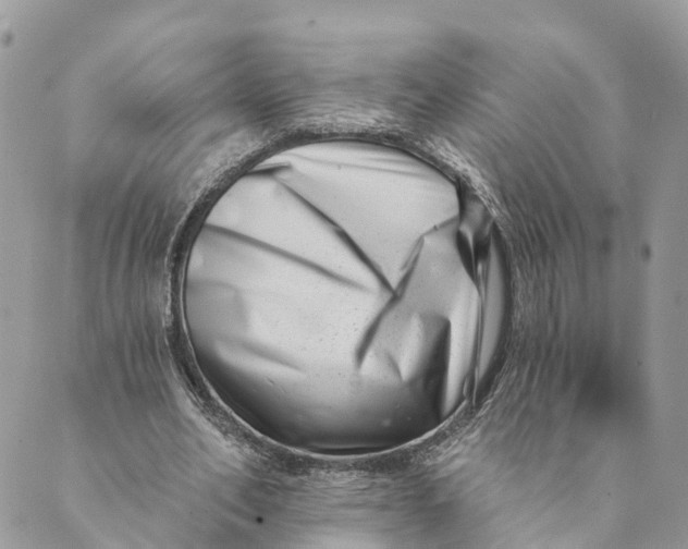 X0000088890582200706291442