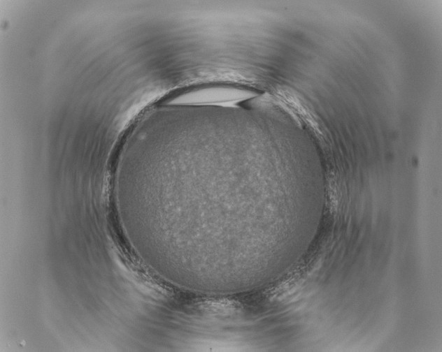 X0000088890583200706291442