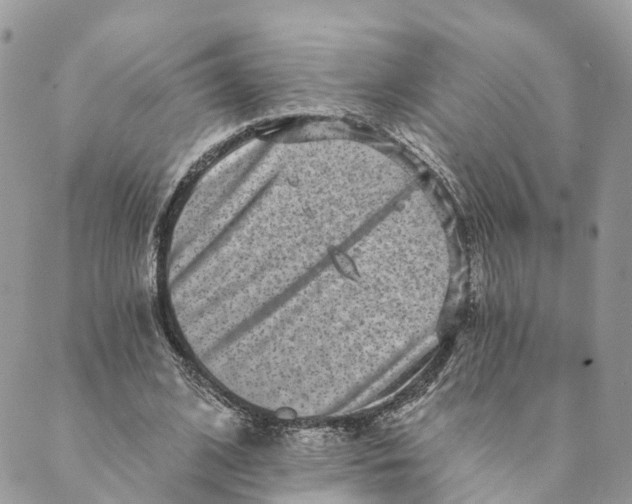 X0000088890584200706291442