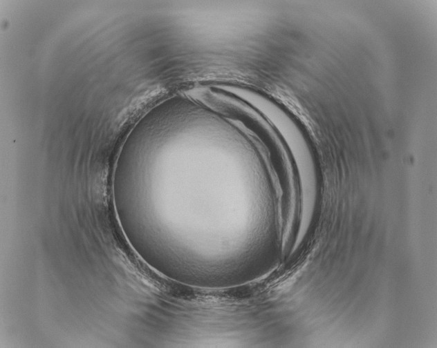 X0000088890585200706291442