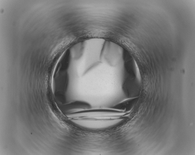 X0000088890586200706291442