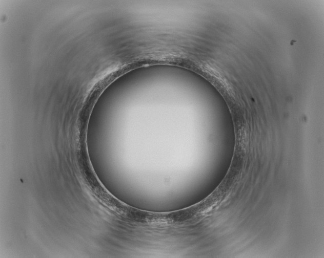 X0000088890587200706291442