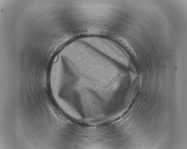 X0000088890588200706291442