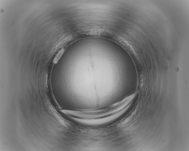 X0000088890589200706291442