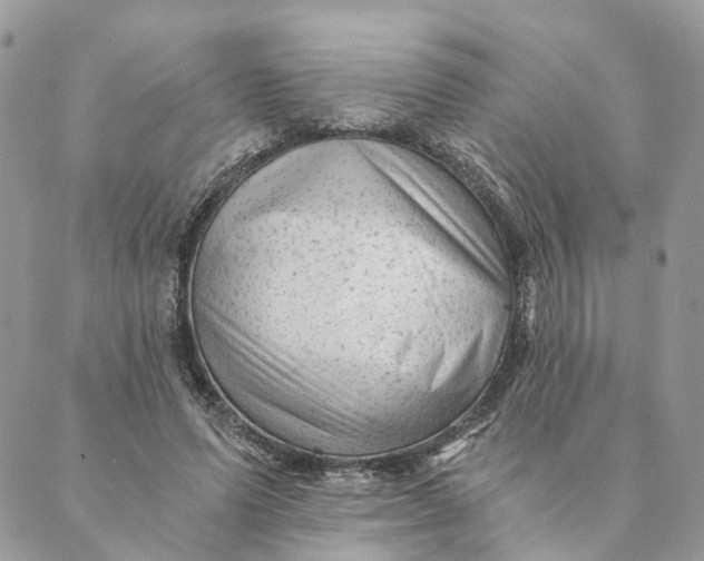 X0000088890591200706291442