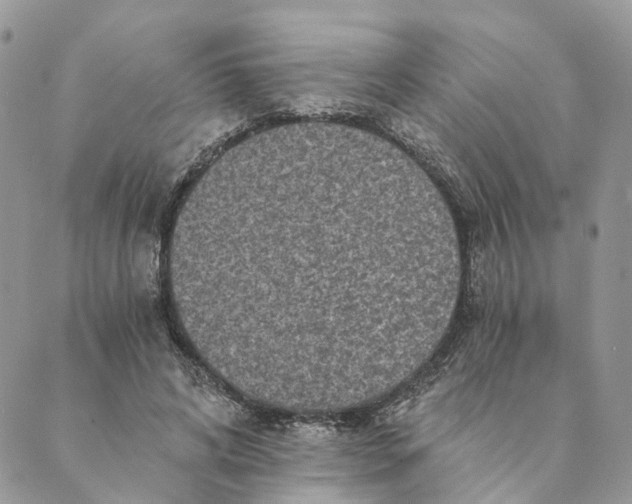 X0000088890592200706291442