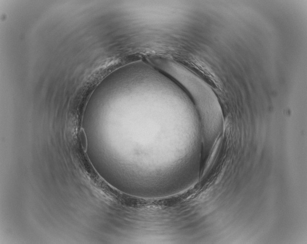 X0000088890593200706291442