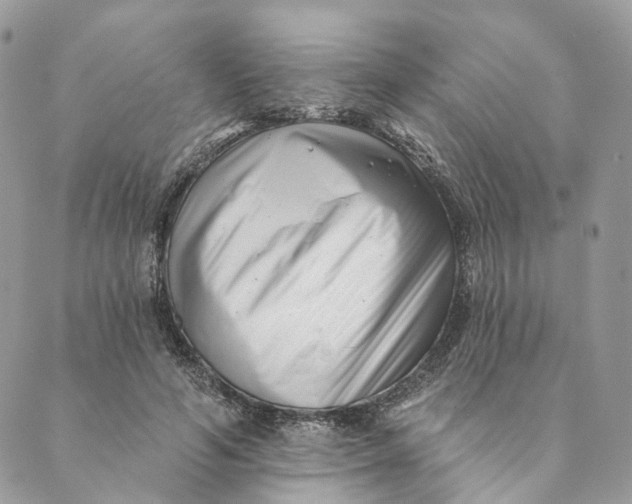 X0000088890594200706291442