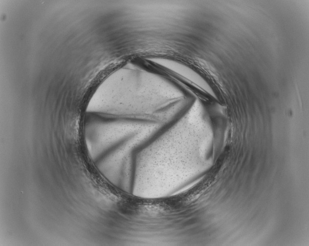 X0000088890596200706291442