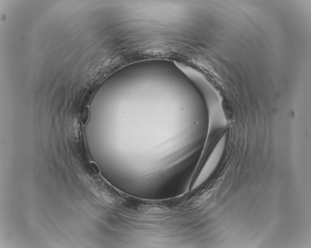 X0000088890597200706291442