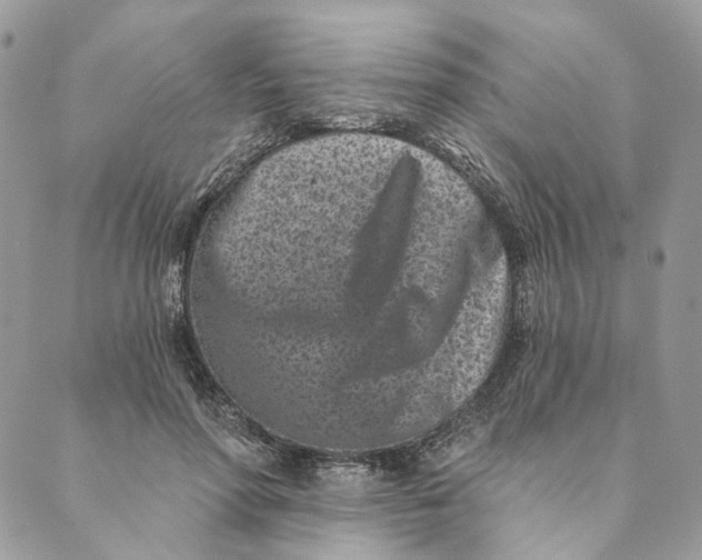 X0000088890598200706291442