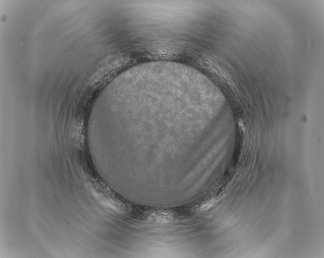 X0000088890599200706291442