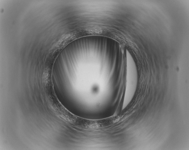 X0000088890600200706291442