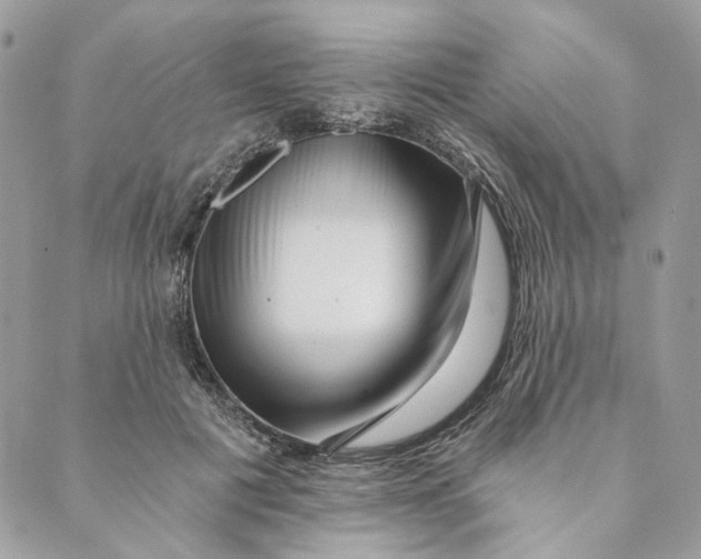 X0000088890601200706291441