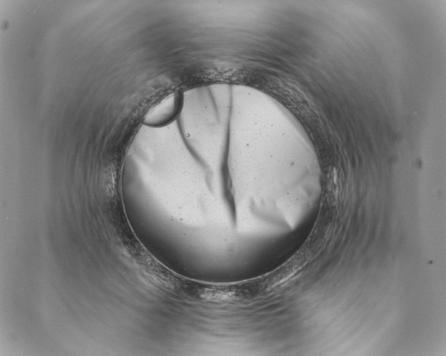 X0000088890602200706291441