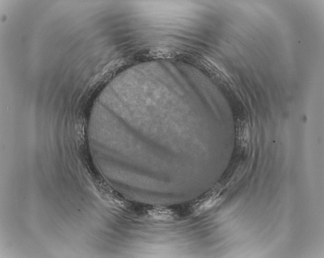 X0000088890603200706291441