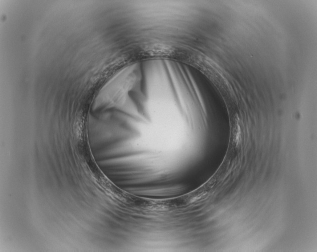 X0000088890604200706291441