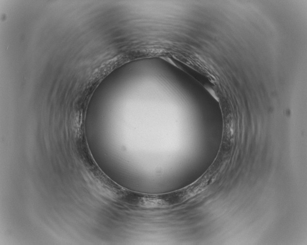 X0000088890605200706291441