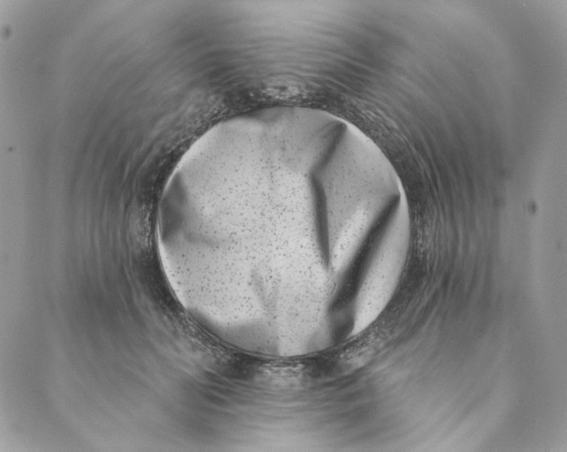 X0000088890606200706291441