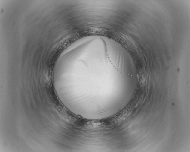 X0000088890607200706291441