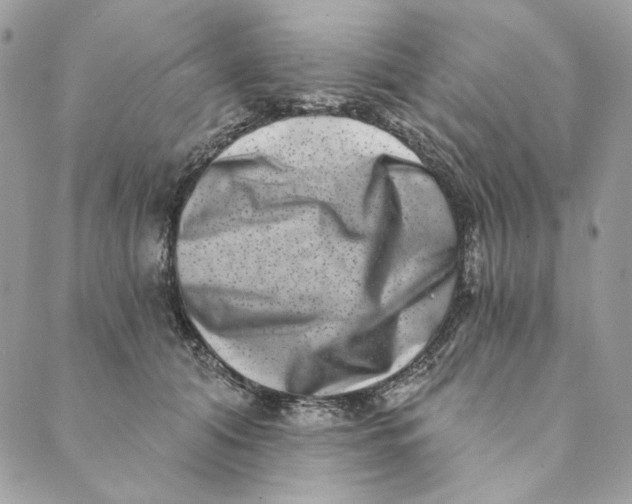 X0000088890608200706291441