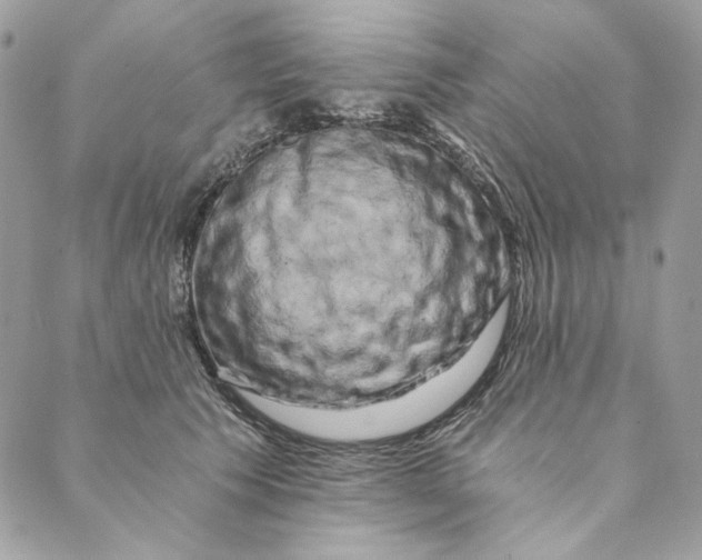 X0000088890609200706291441