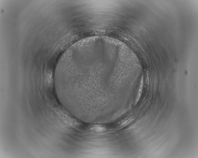 X0000088890610200706291441