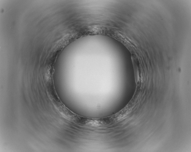 X0000088890611200706291441