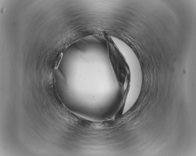 X0000088890613200706291441