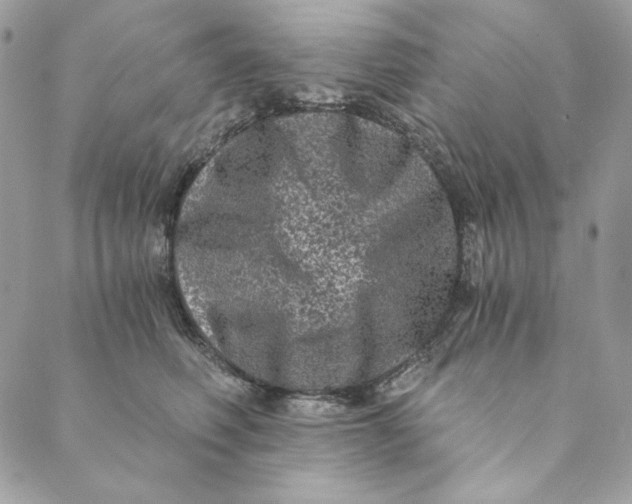 X0000088890614200706291441