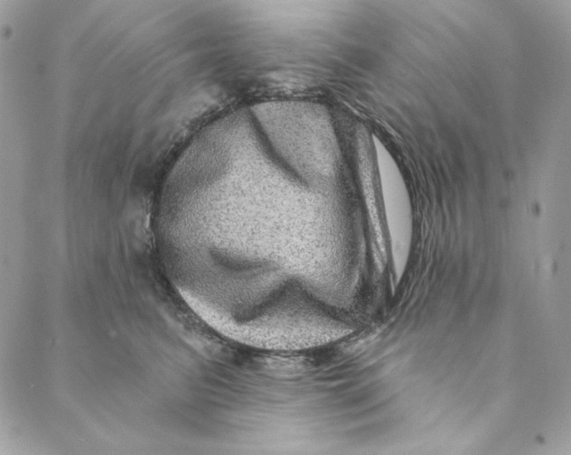 X0000088890615200706291441