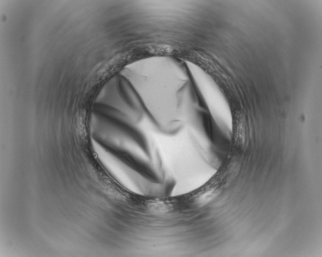 X0000088890616200706291441